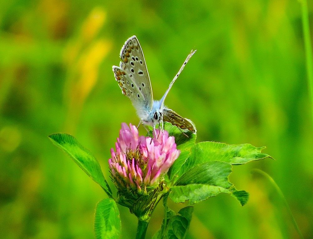 Photograph by Лариса Басова