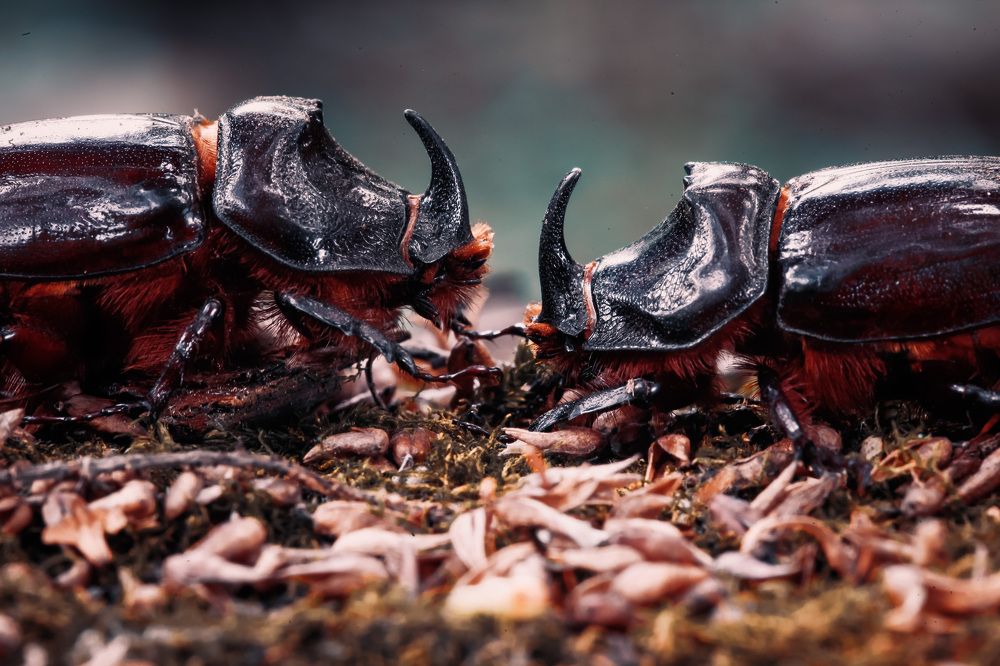 Photograph by Александр Ермаченко