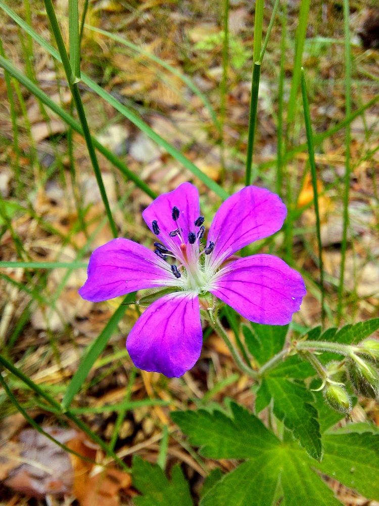 Фотография автора Анастасия Куликова
