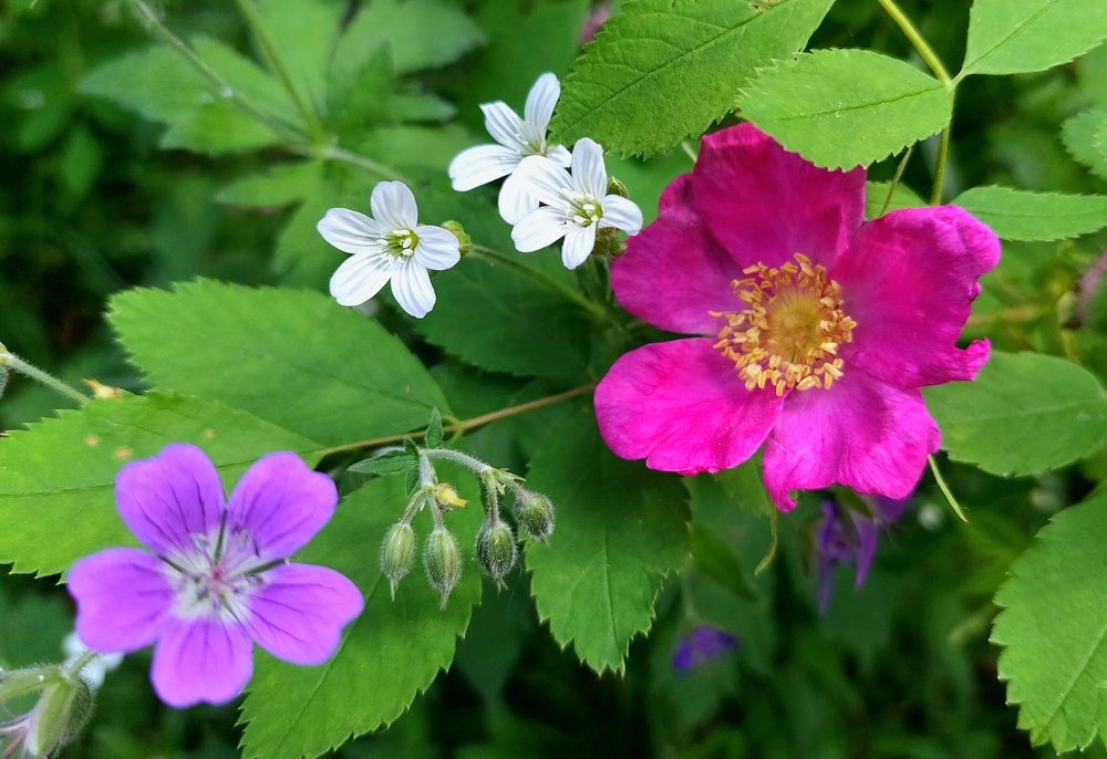 Фотография автора Анастасия Куликова