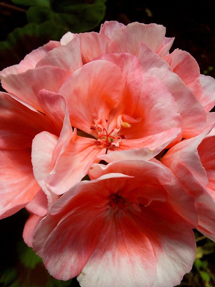 Фотография автора Анастасия Куликова