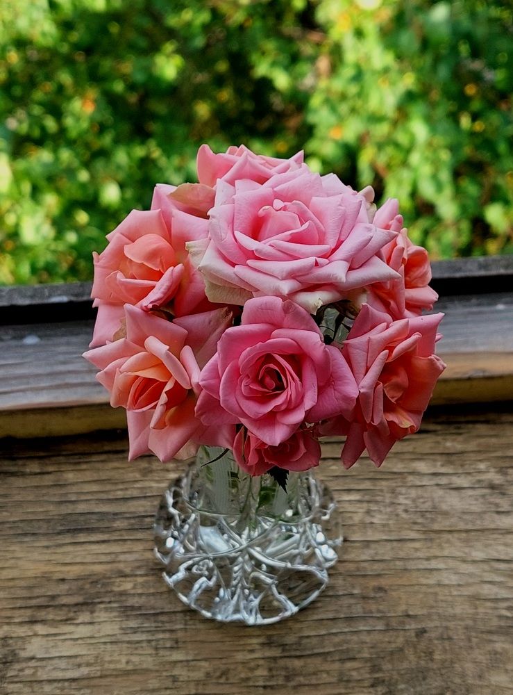 Фотография автора Анастасия Куликова