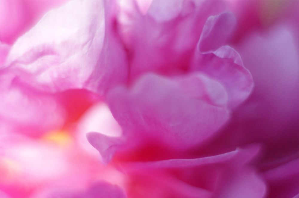 Photograph by Елена