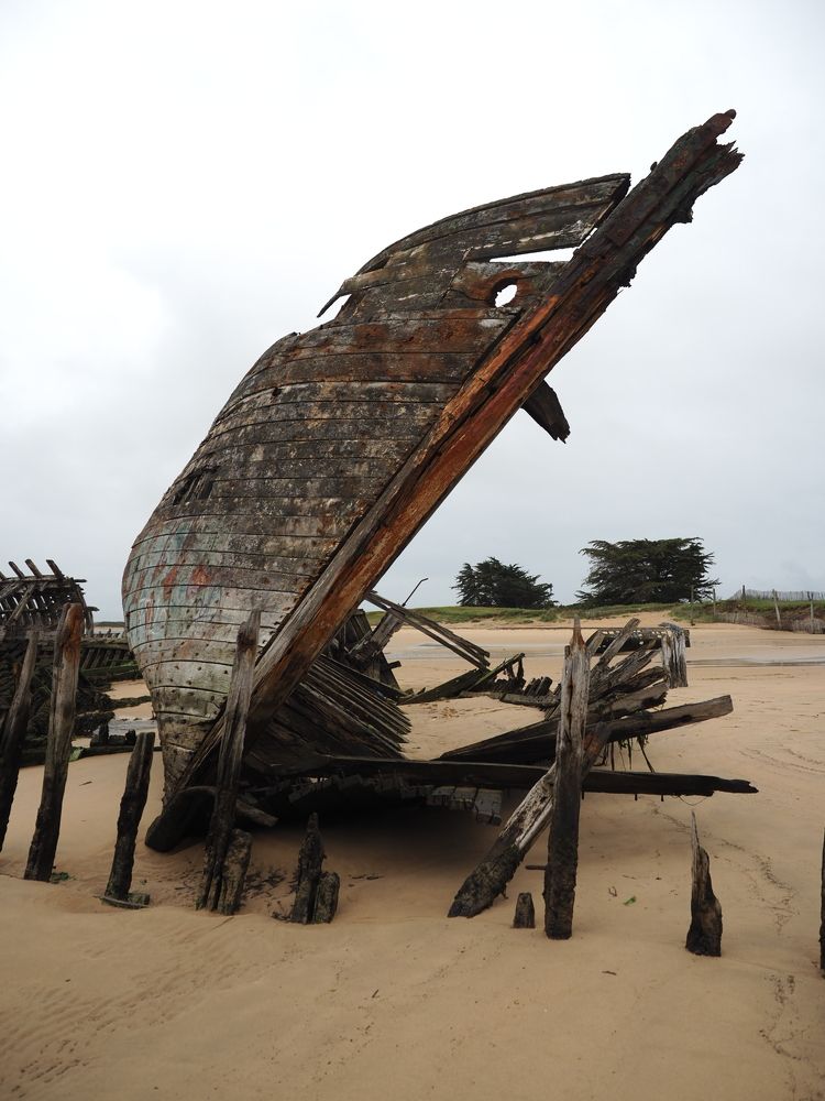 Photograph by Александра Шилова