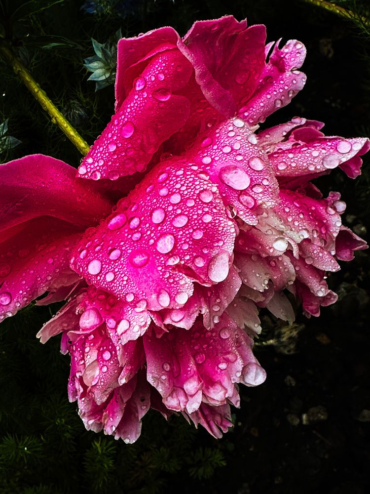 Photograph by Екатерина Анпилова