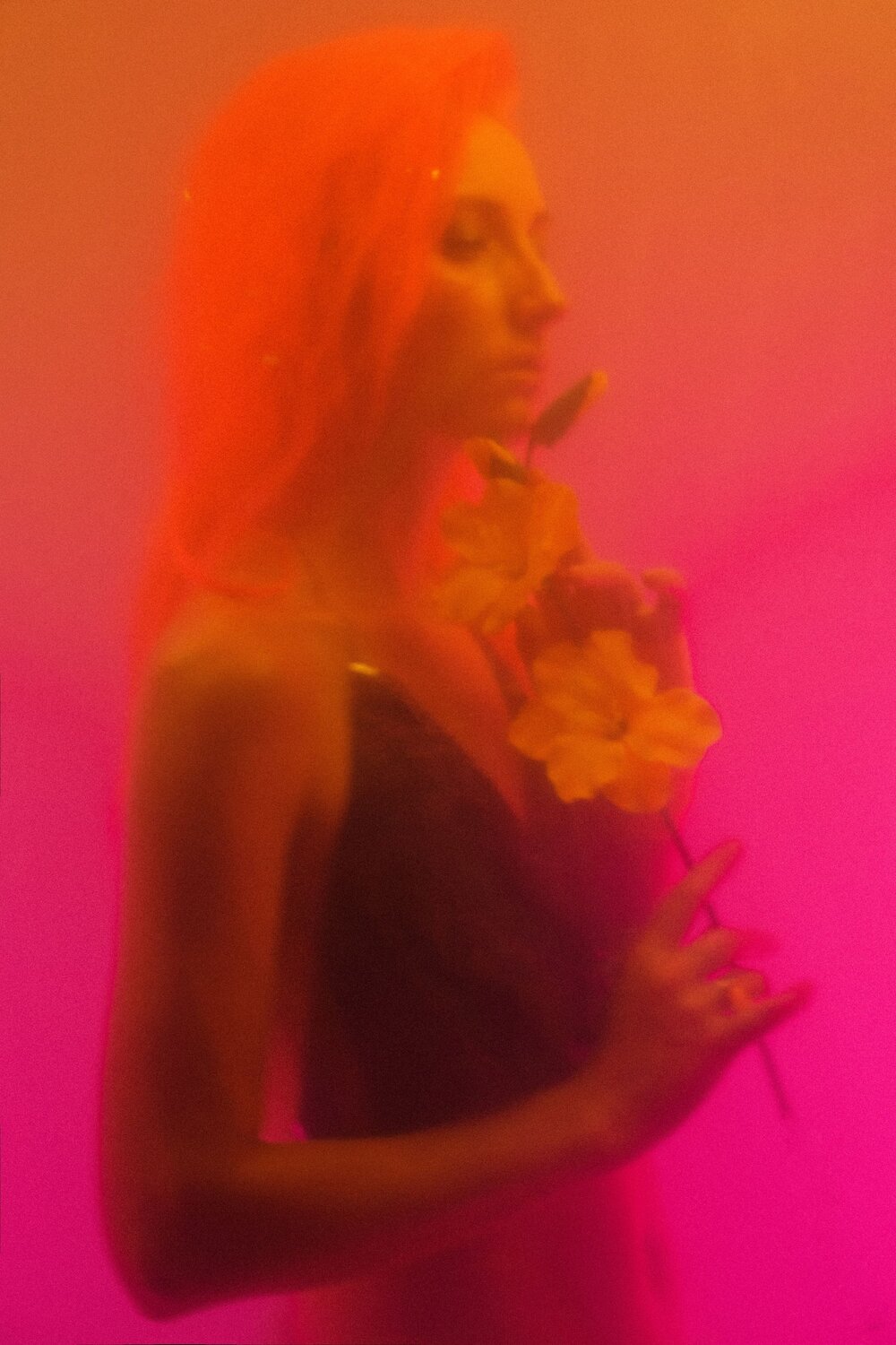 Photo #11440642