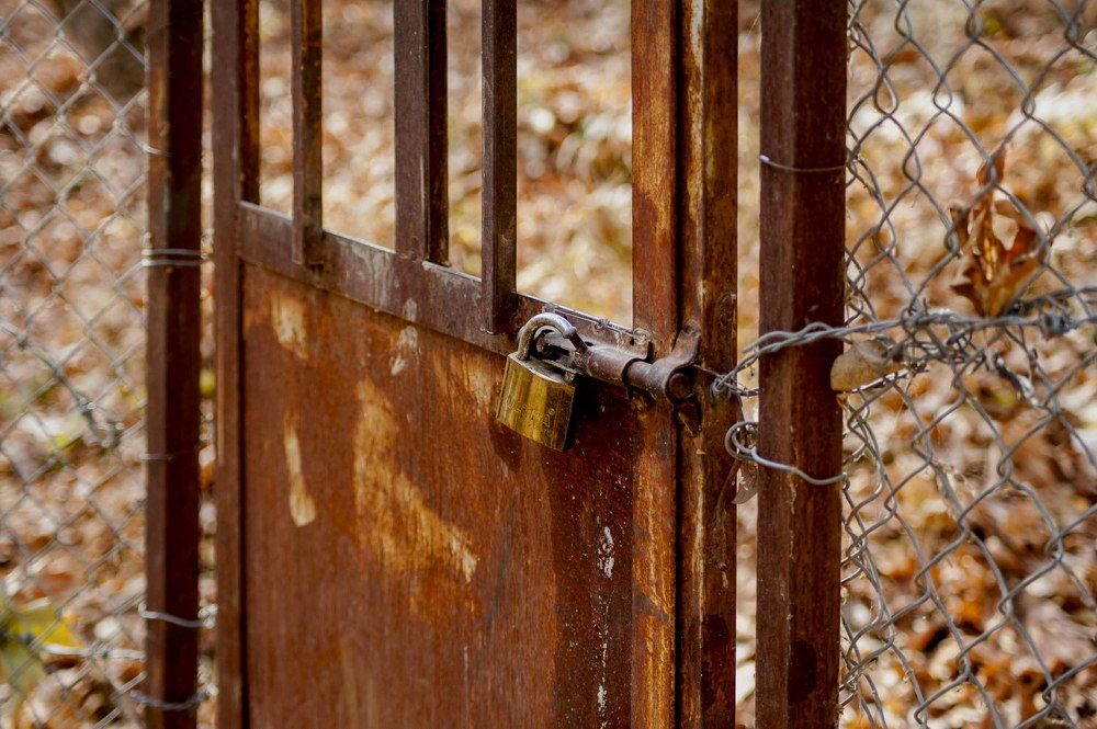 Photograph by DAMOUN POURNEMATI