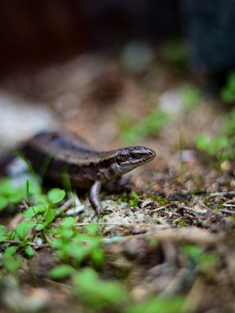 Photograph by Ekaterina Slepneva