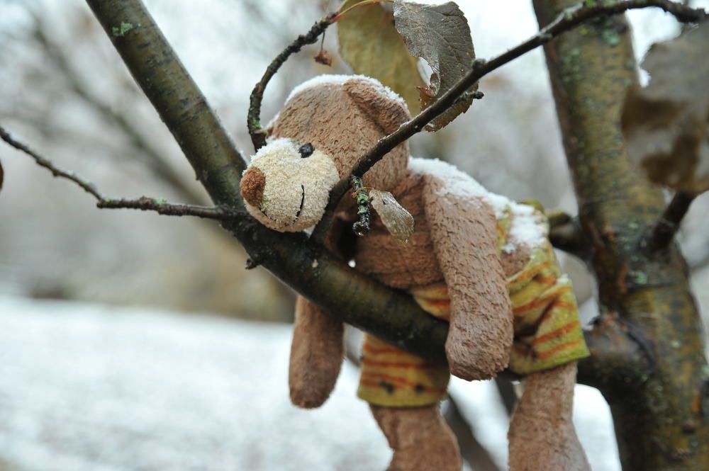 Photograph by Cергей Абакумов