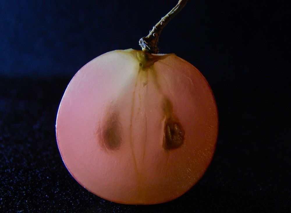 Photograph by Ирина Самойленко