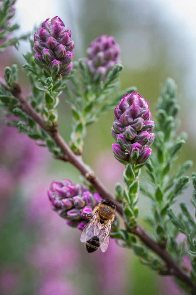 Photograph by Серова Мария