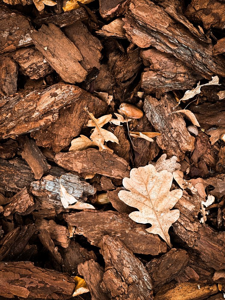 Photograph by Екатерина Анпилова