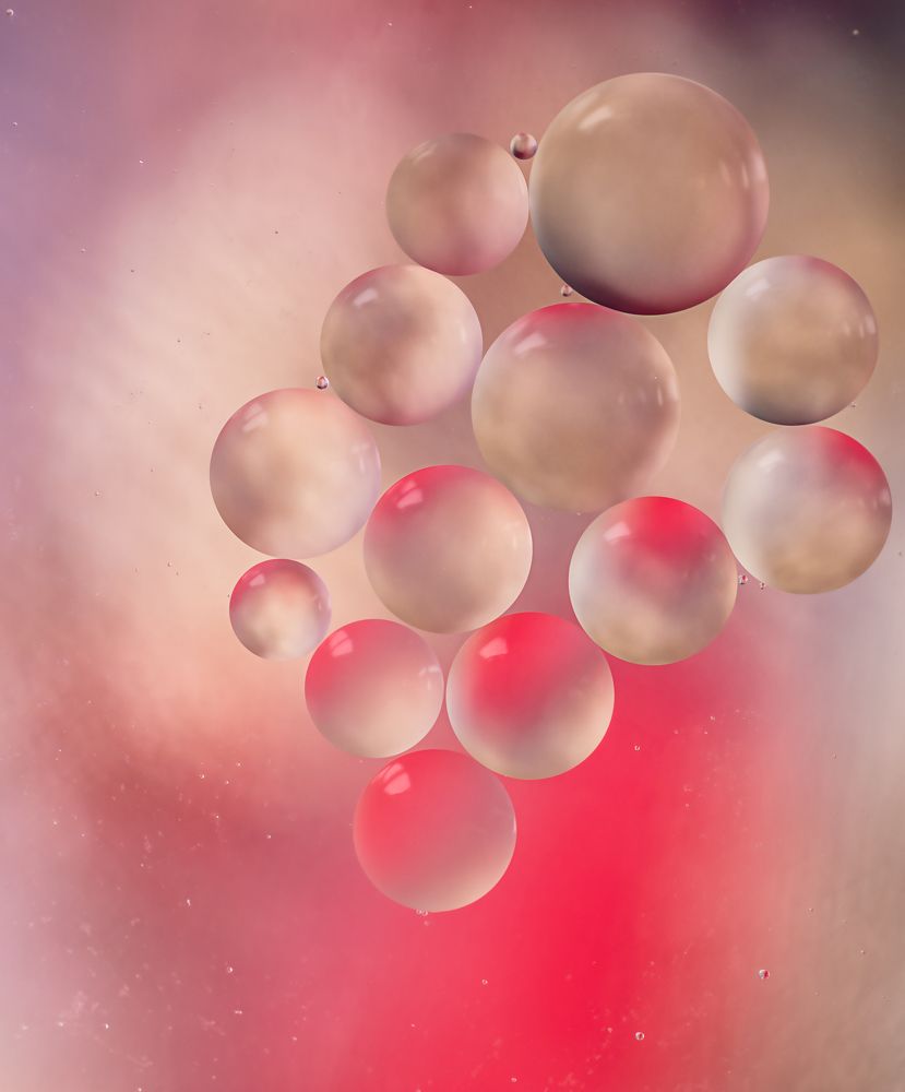 Фотография автора Обидина Мария