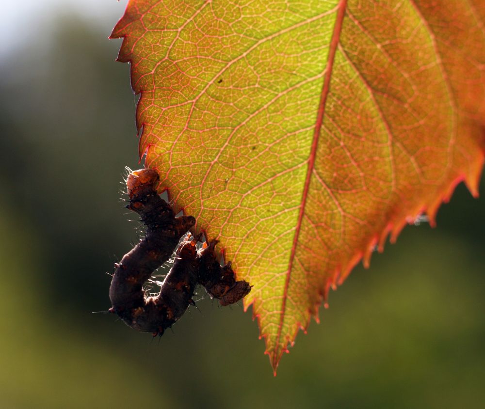 Photograph by Татьяна