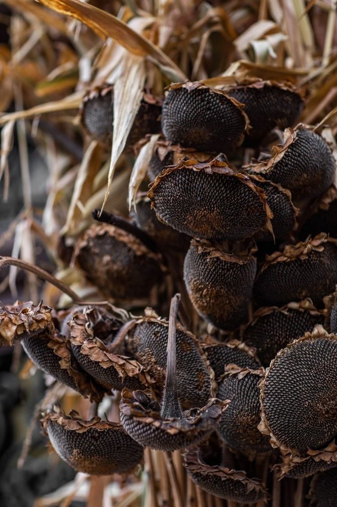 Photograph by Серова Мария