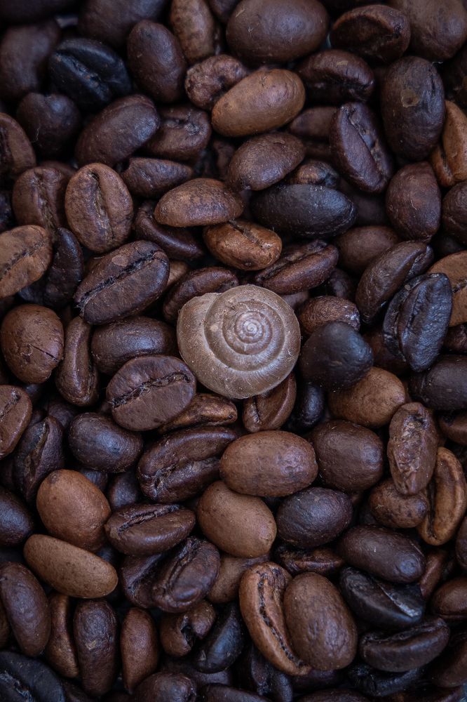 Photograph by Ольга Шиляева