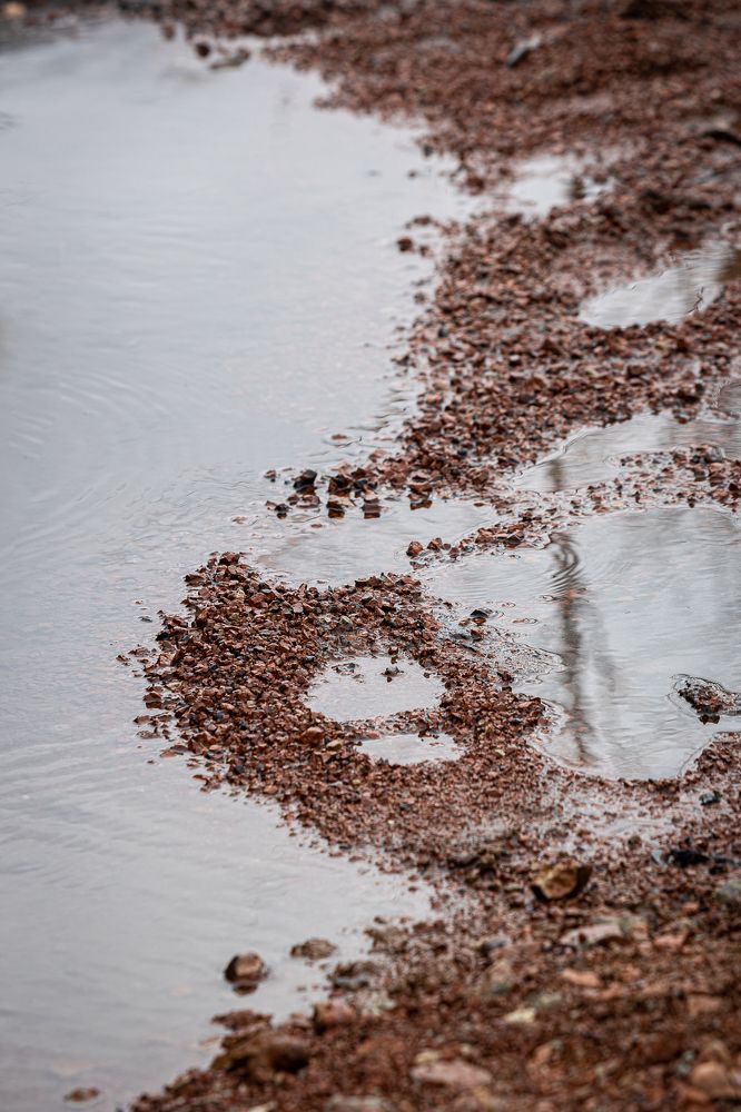 Photograph by Ольга Шиляева