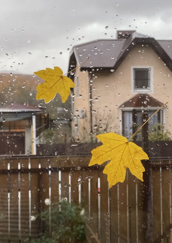 Photograph by Татьяна Токарева