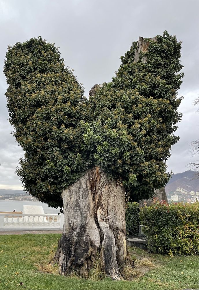 Photograph by Татьяна Токарева