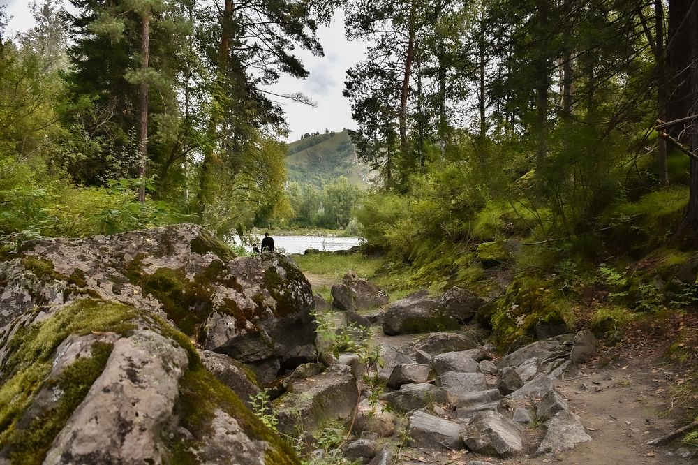 Фотография автора Ольга Альт