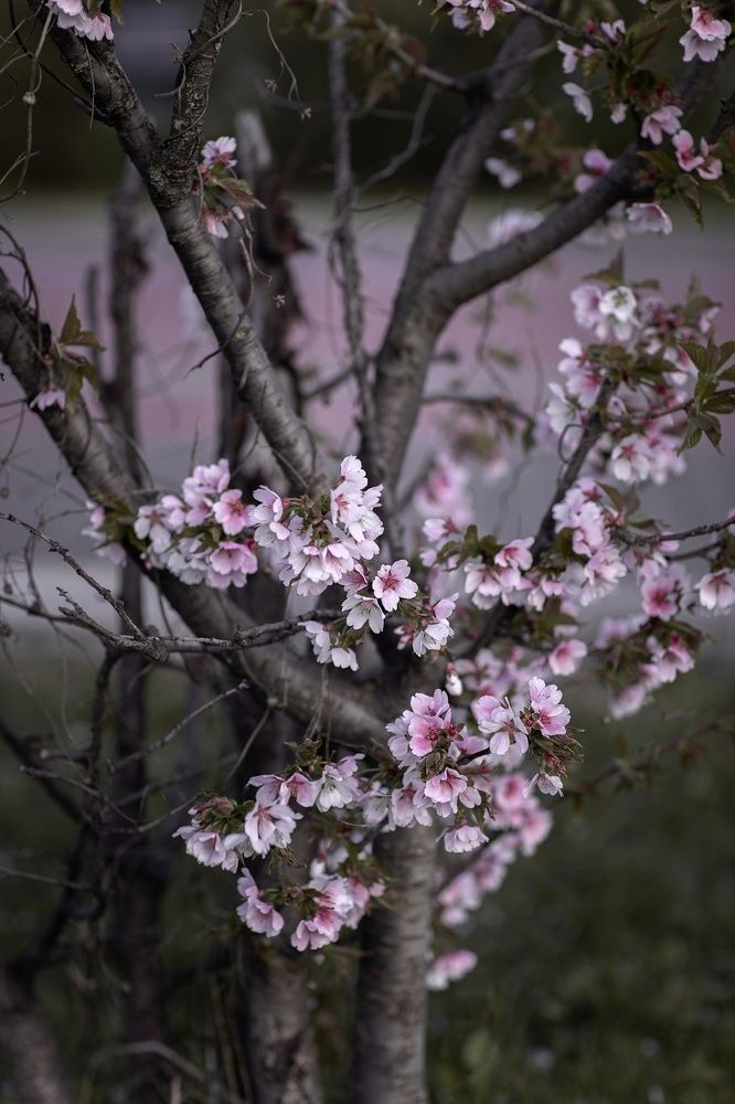 Photograph by Серова Мария