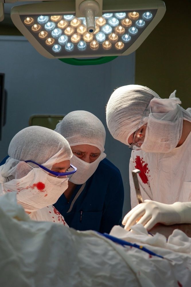 Photograph by Аминов Николай