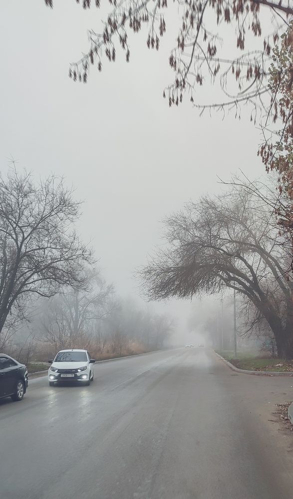 Фотография автора Анастасия Мамаева