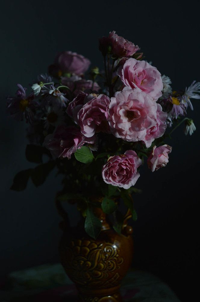 Photograph by Ксения