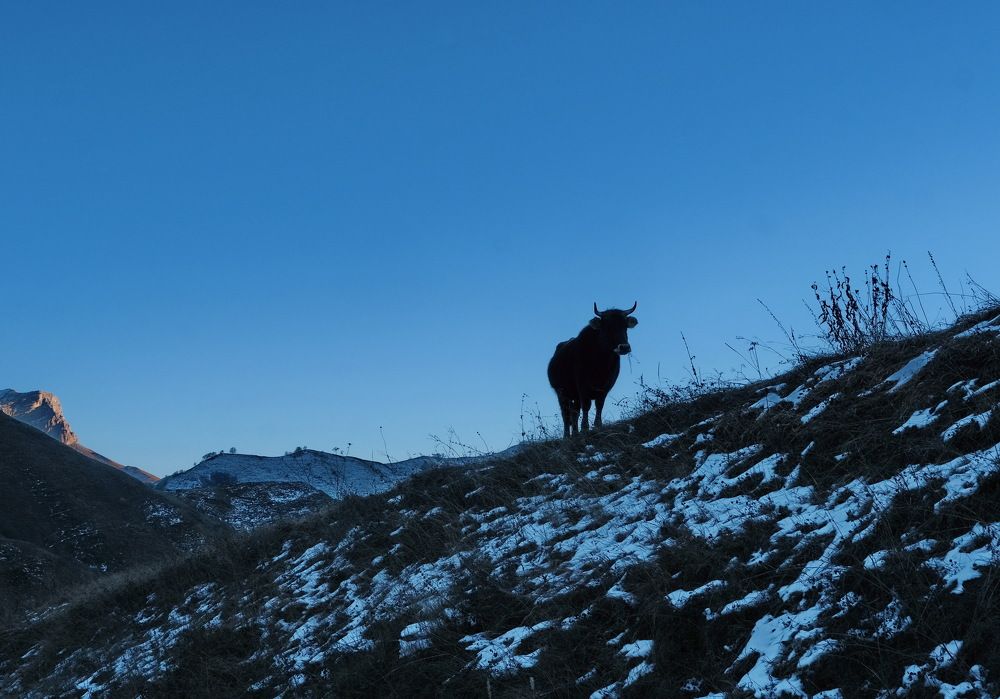 Photograph by Виктор Чернышов