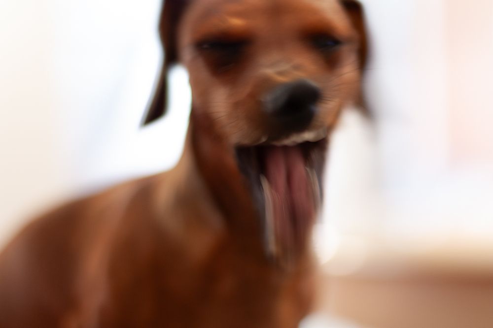 Photograph by Алла Логинова