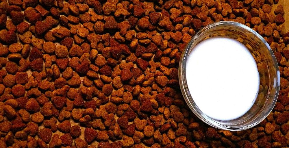 Photograph by Михаил Трусов