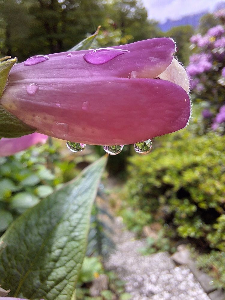 Photograph by Sonia Crotta