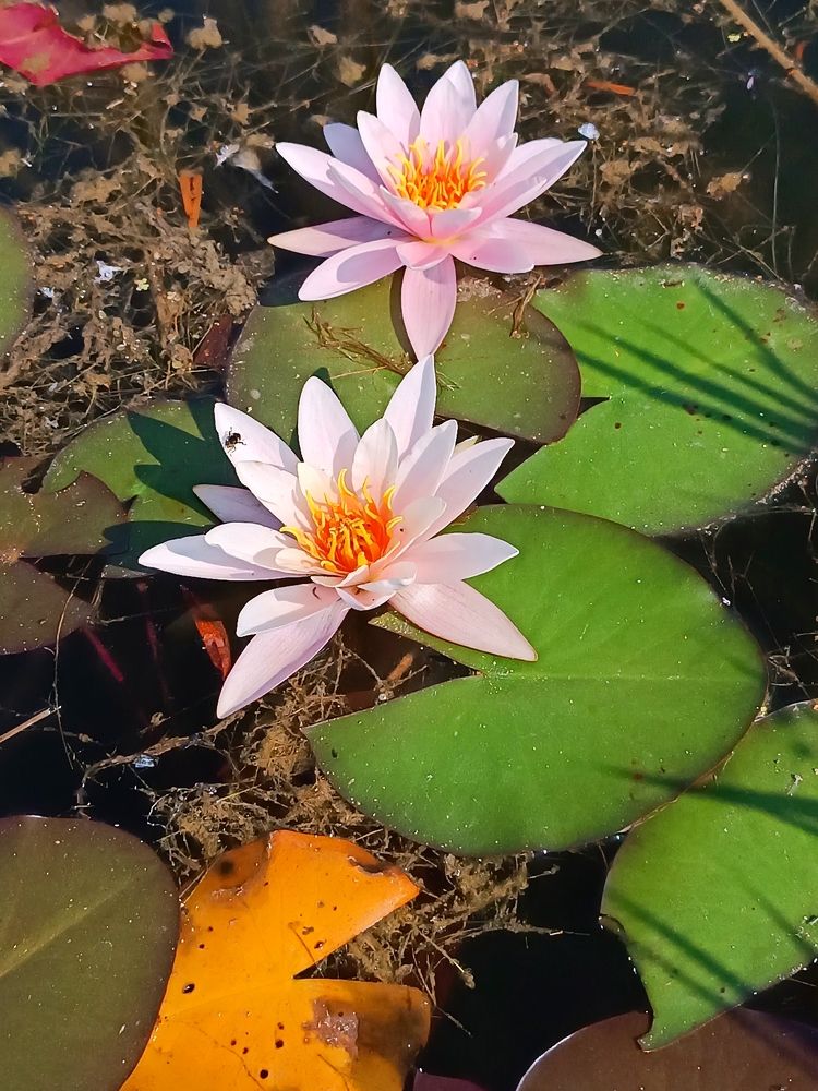 Photograph by Olga Kot