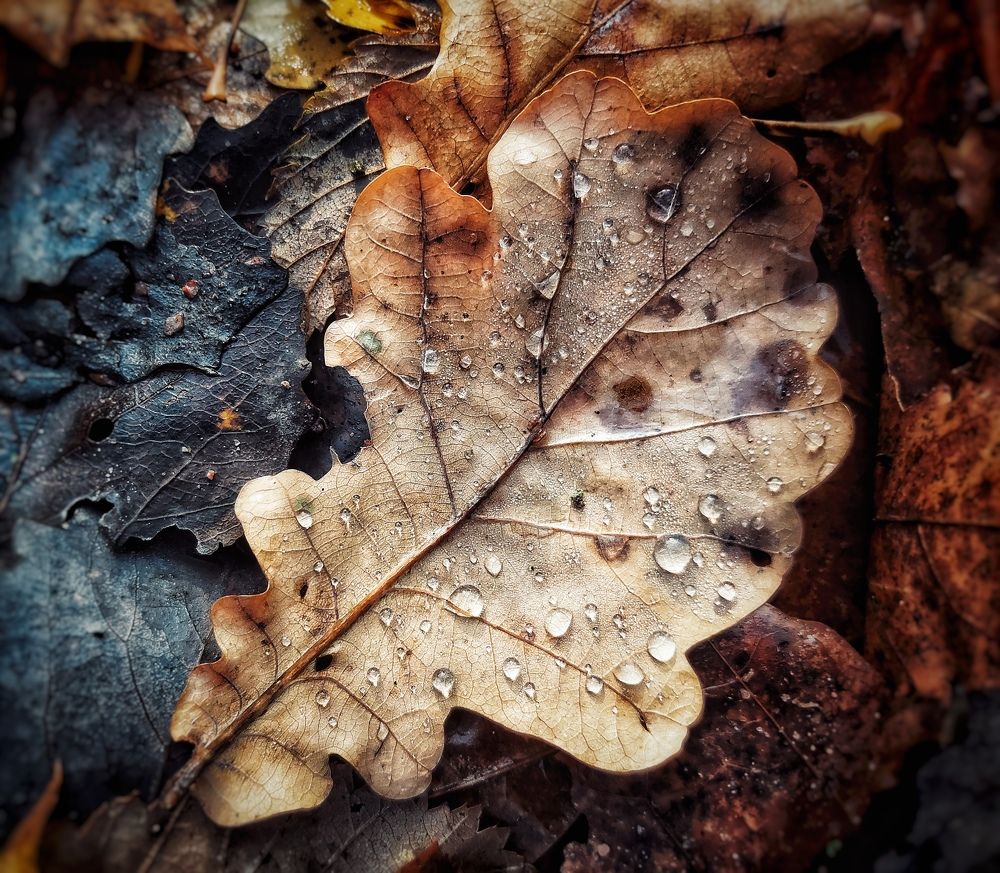 Photograph by Ярославна