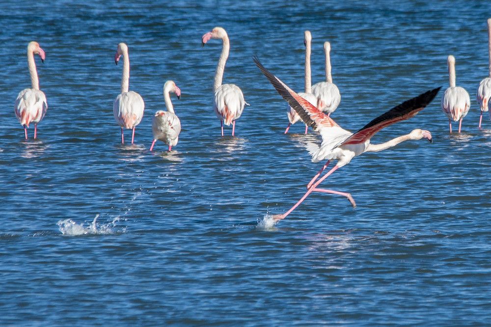 Photograph by Alexandros Melidis