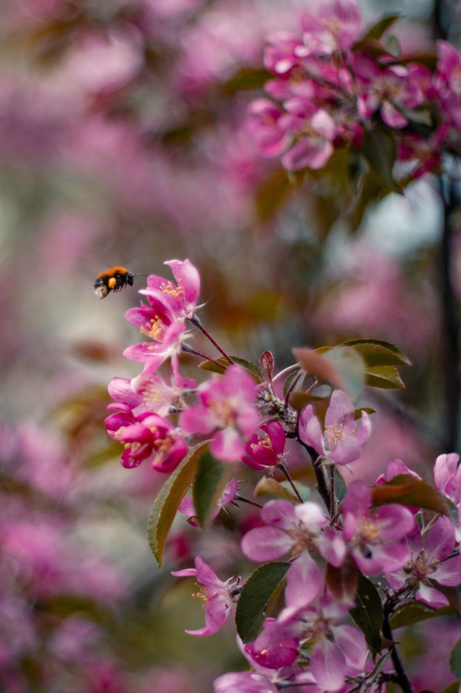 Photograph by Виктория Фирсова