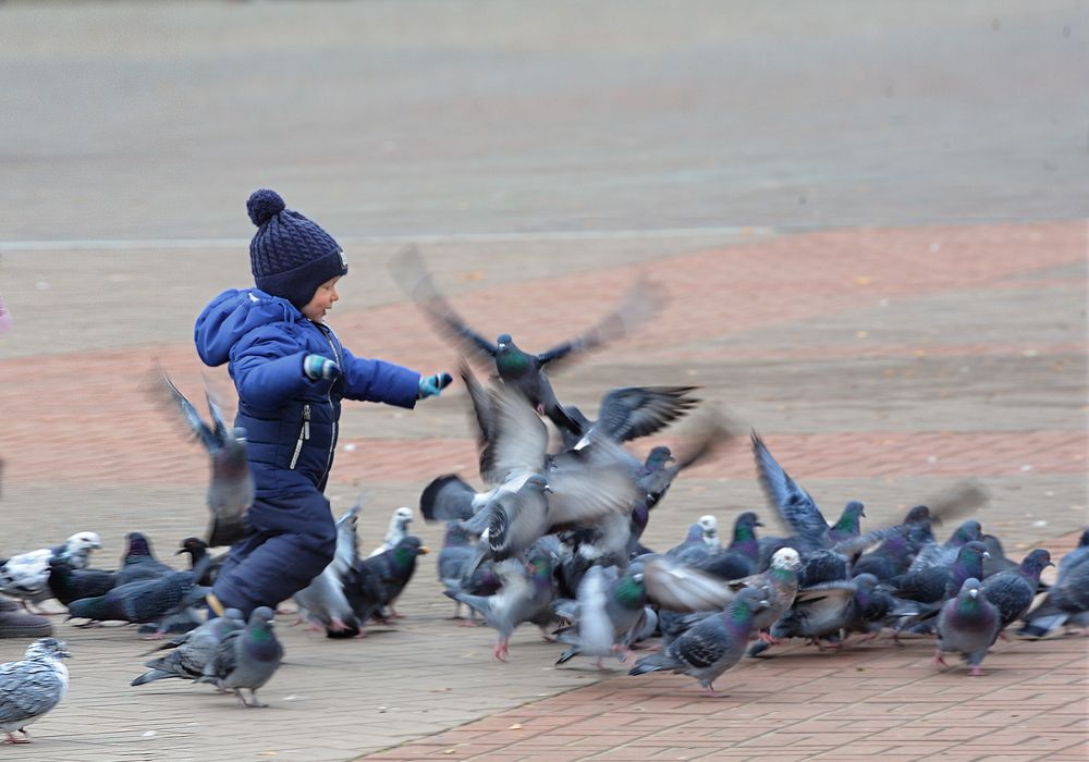 Photograph by Михаил Егоров