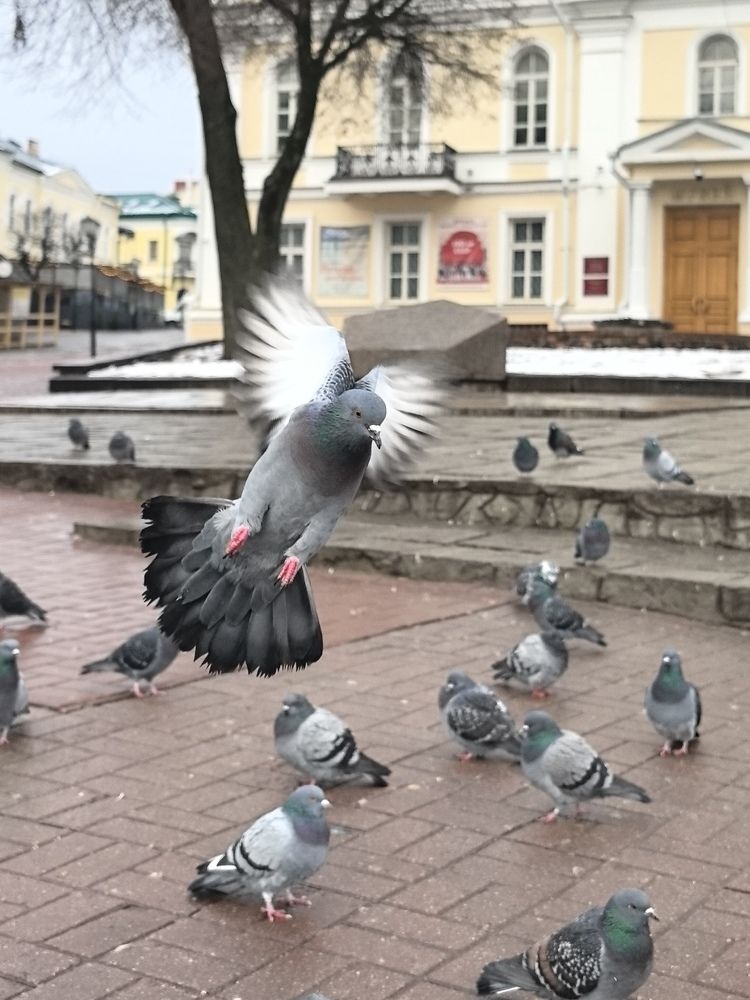 Фотография автора Александр Сипаров