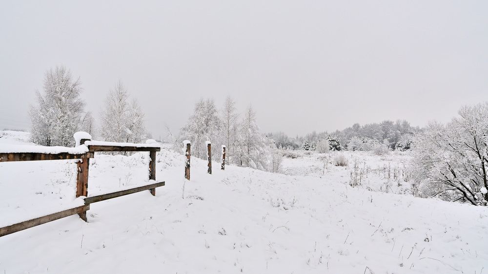 Photograph by Виктория Шажко