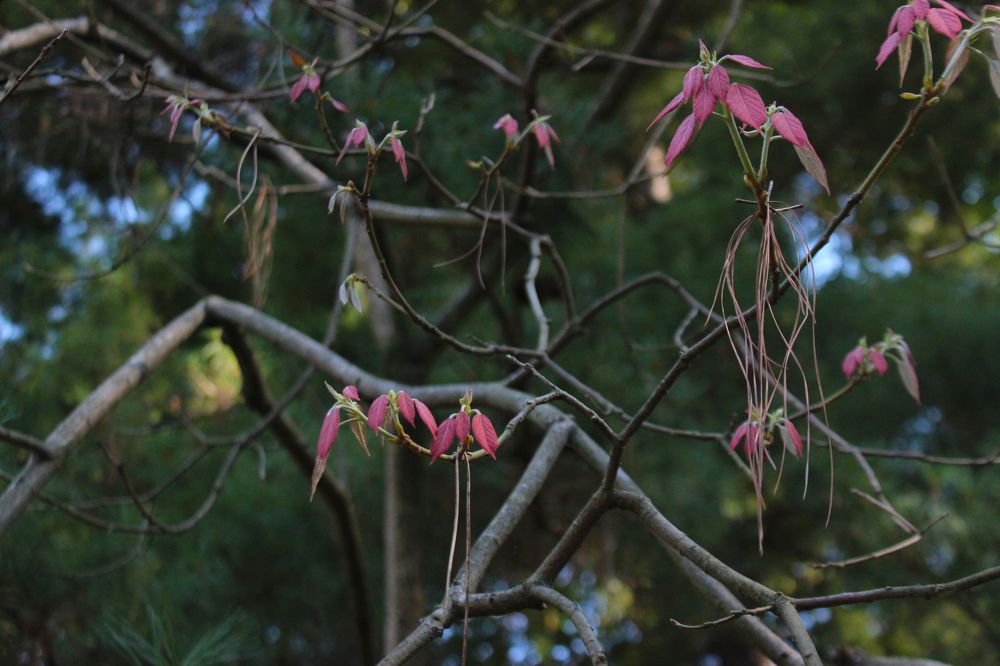 Photograph by Anastasia Kodatenko