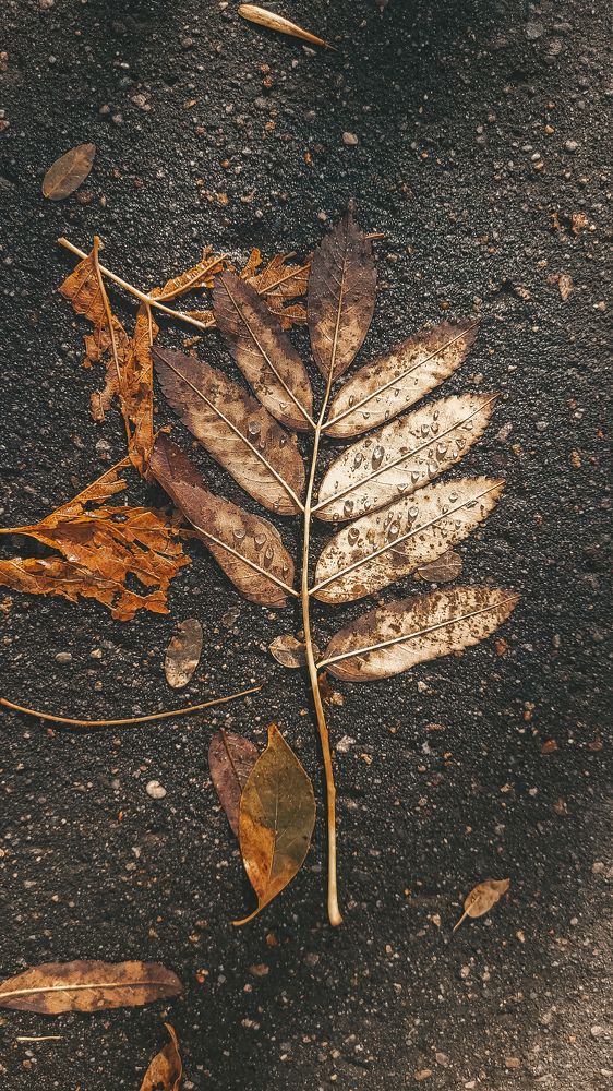 Photograph by Дарья