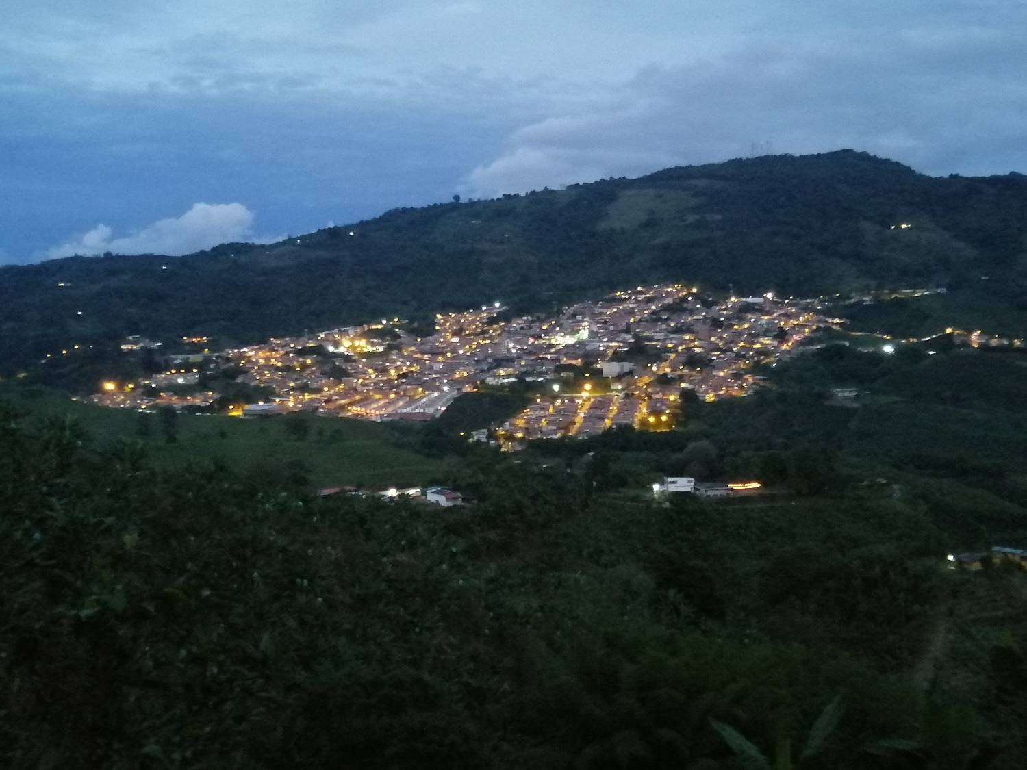 Paisaje cafetero
