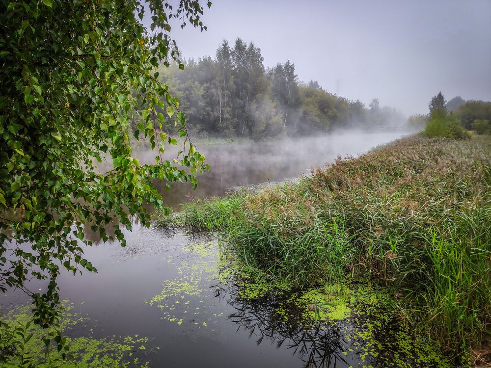 Фотография автора Владислав Храмцов