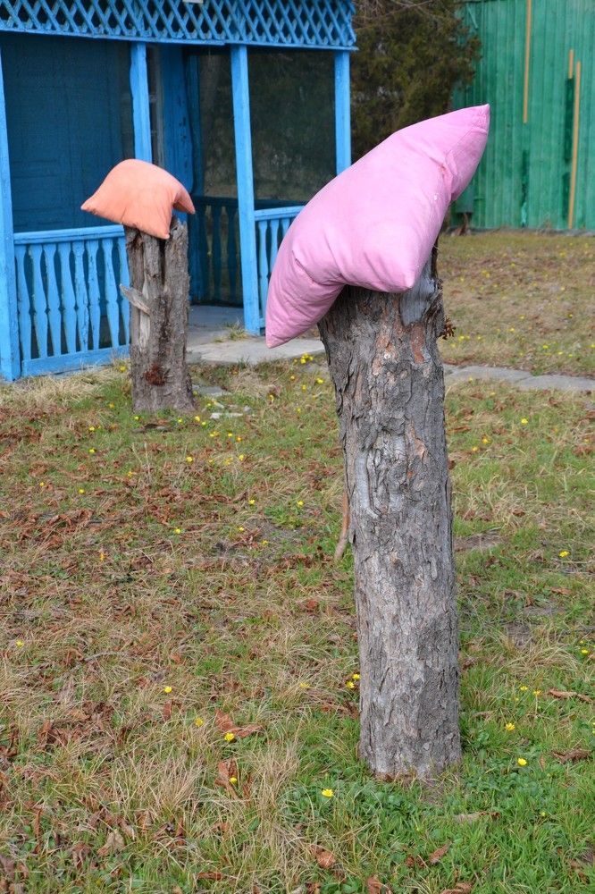 Фотография автора Евгений