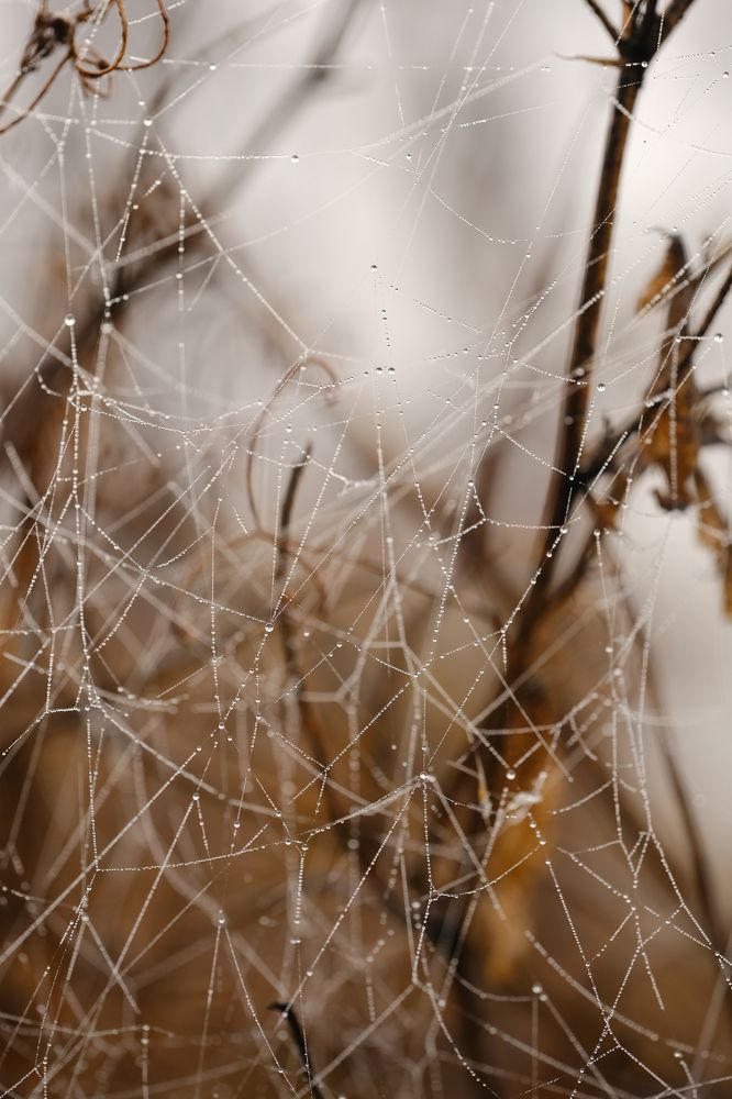 Фотография автора Александр Высоцкий