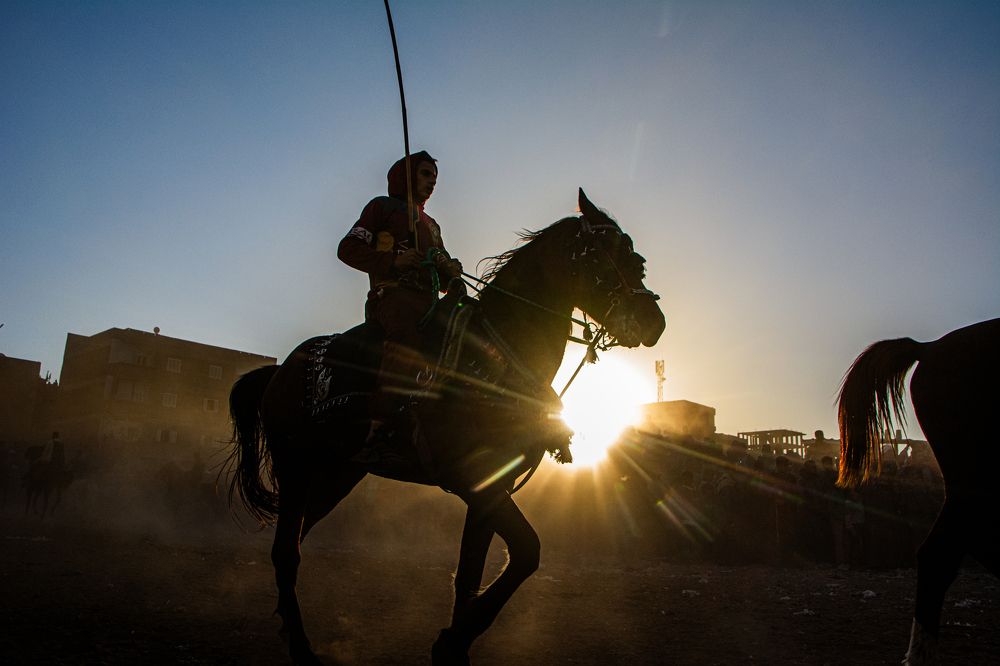 Фотография автора Martin Kamel