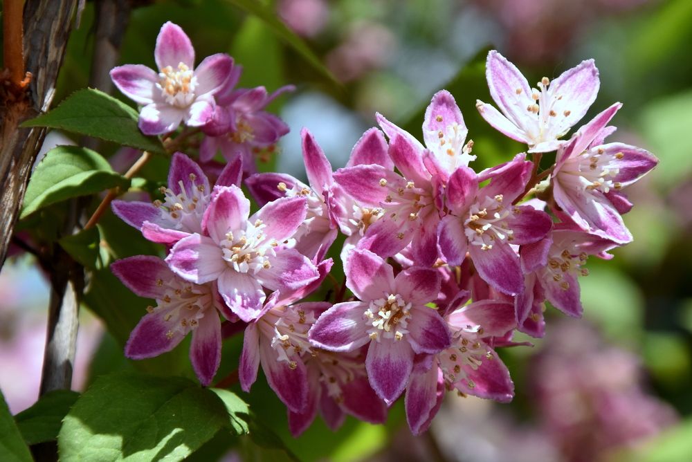 Photograph by Dimon Grinih