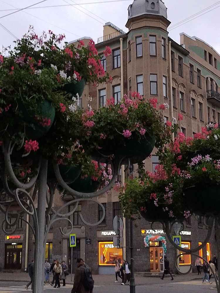 Photo #11441317