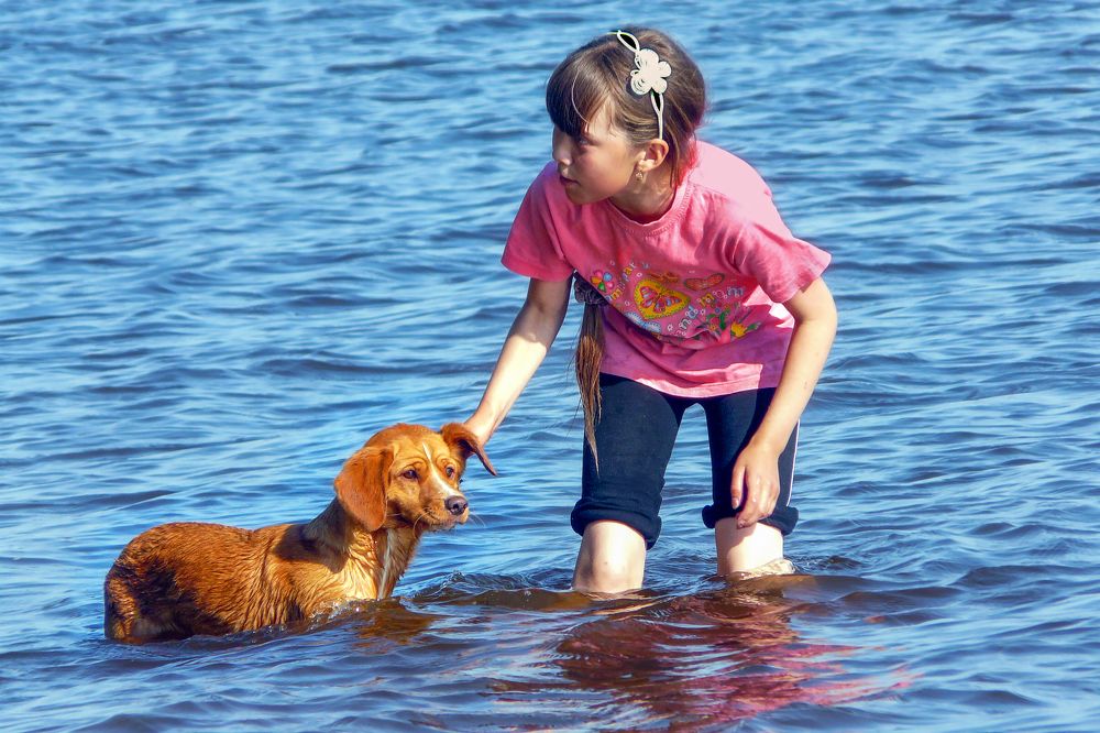 Тёплое лето.