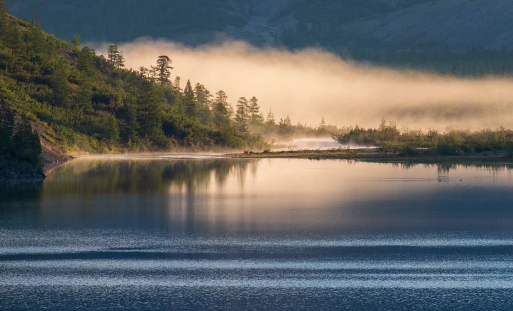 Photograph by Крицак Ольга